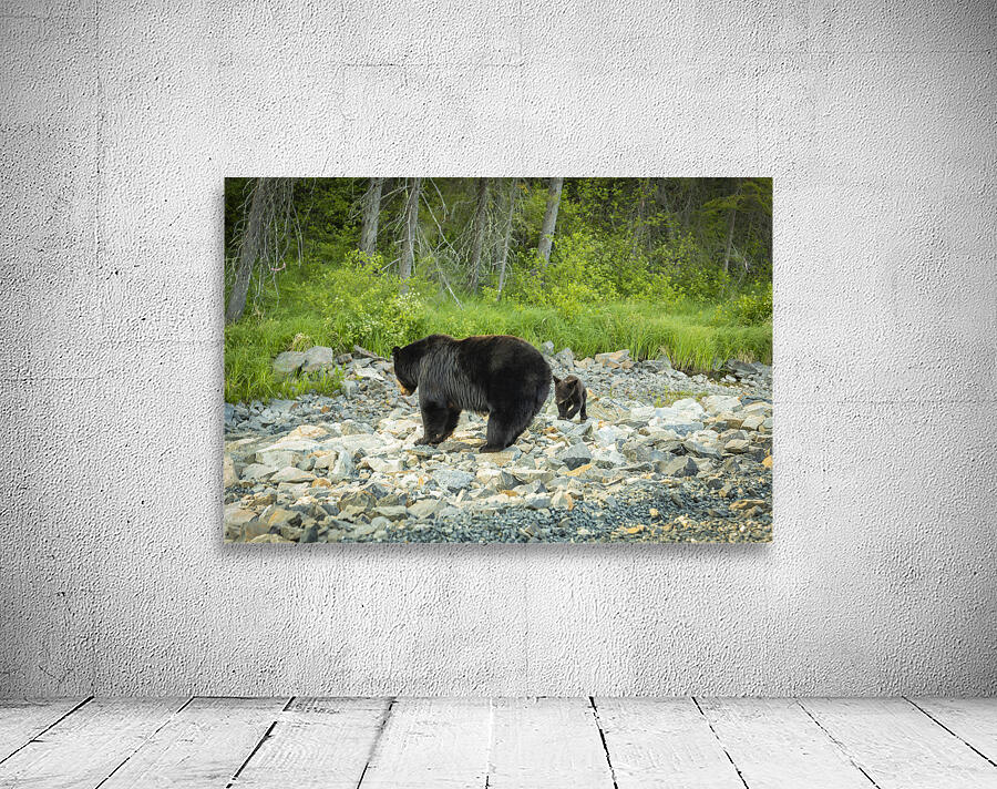 Mama Bear and its Cub Wall Preview