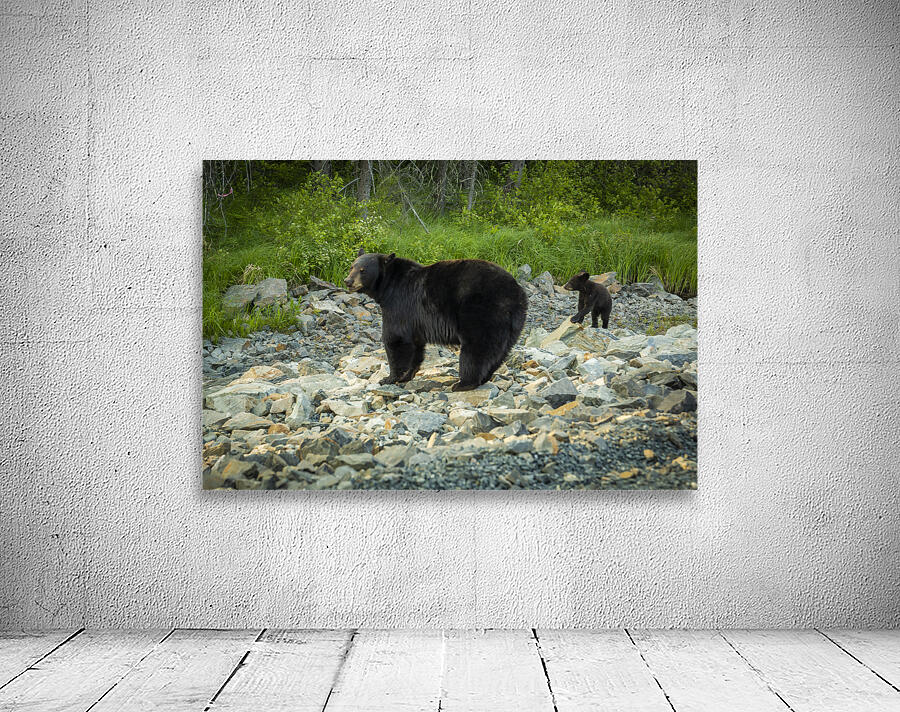 Mama Bear and its Cub Wall Preview