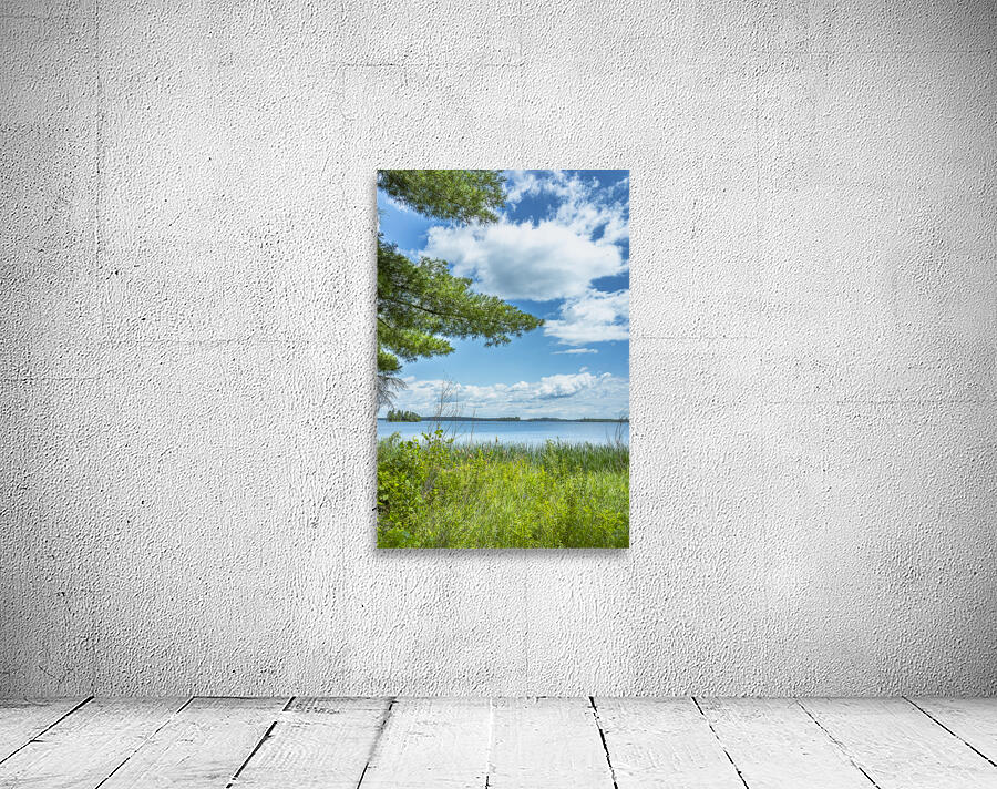 Lake of the Woods View Wall Preview