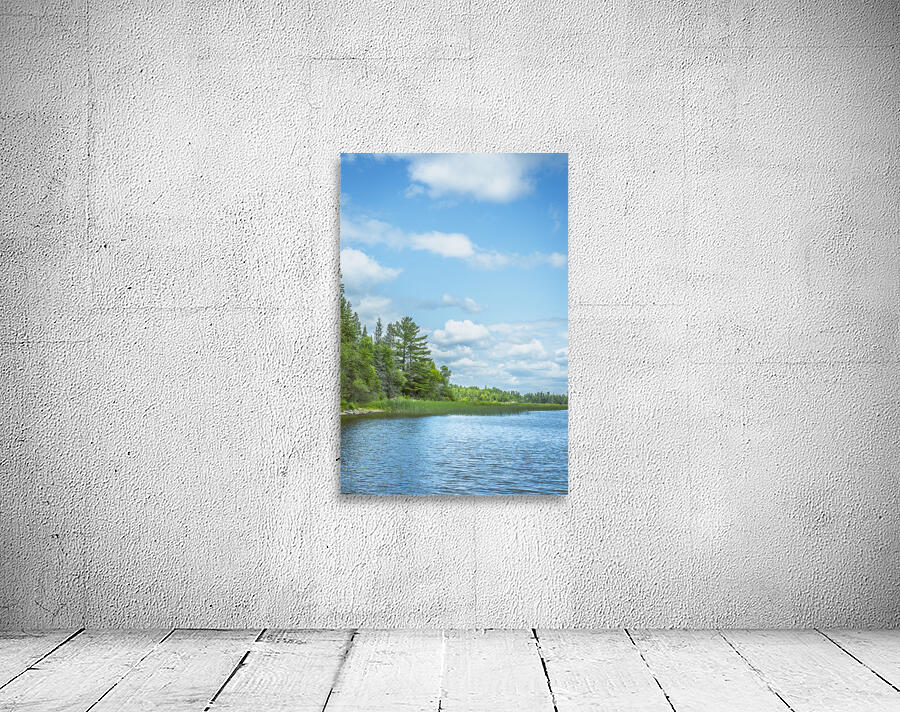 Lake of the Woods View Wall Preview