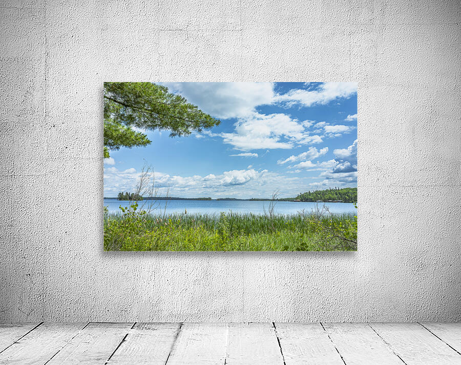 Lake of the Woods View Wall Preview