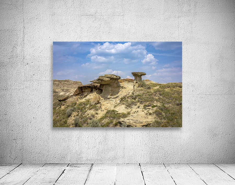 Natures Sculpted Wonders Wall Preview