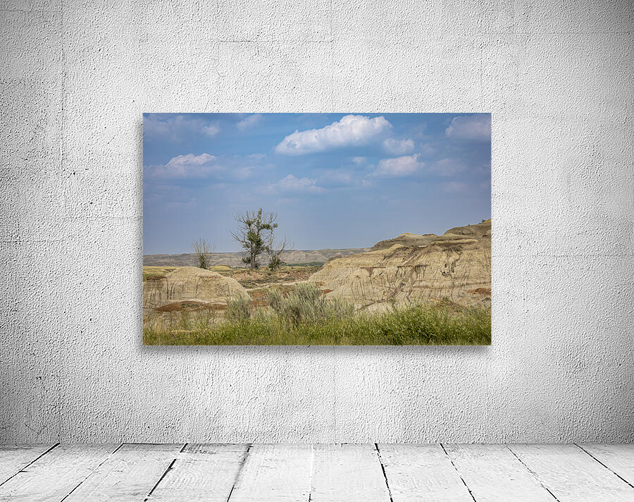 Lone Tree in the Badlands Wall Preview