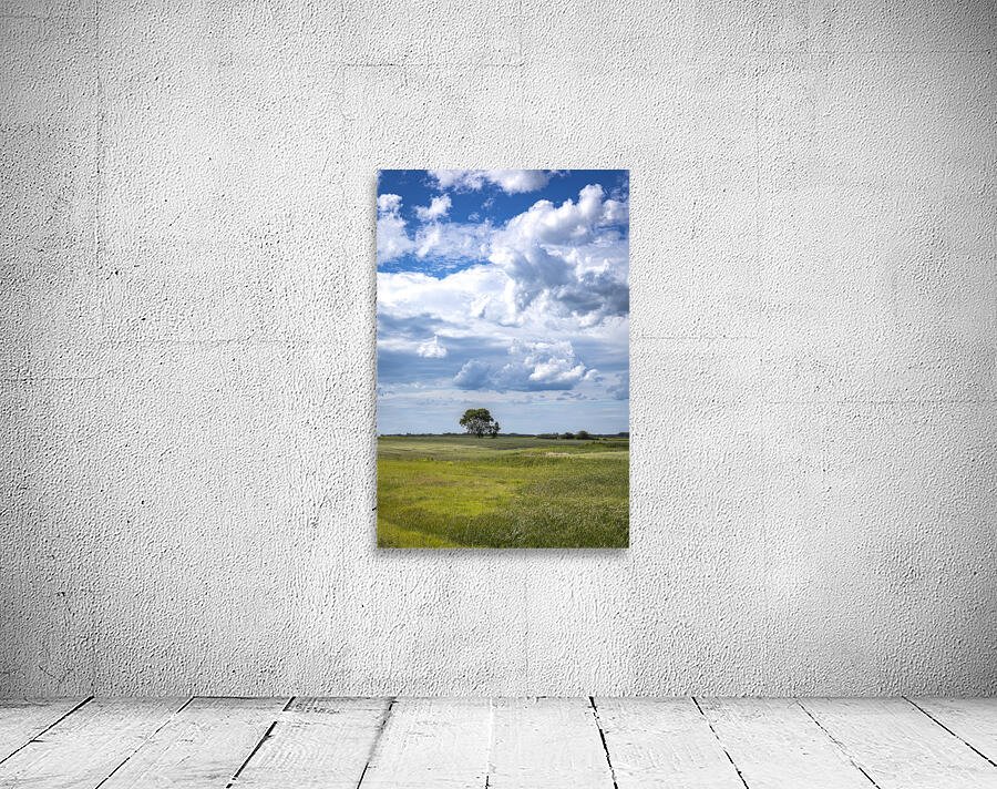 Lone Tree on a Cloudy Day Wall Preview