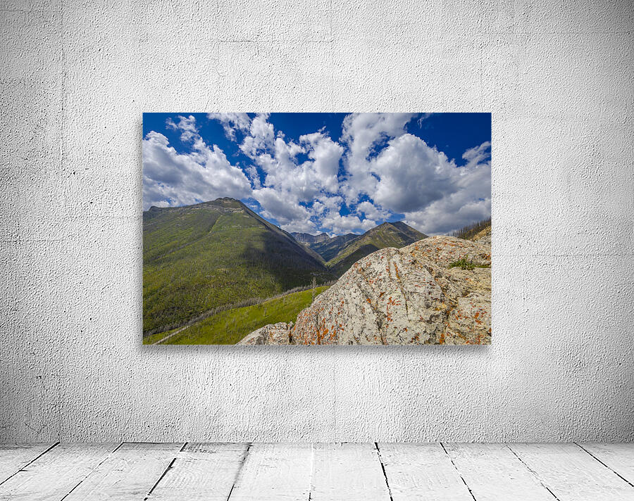 Mountains of Waterton Wall Preview