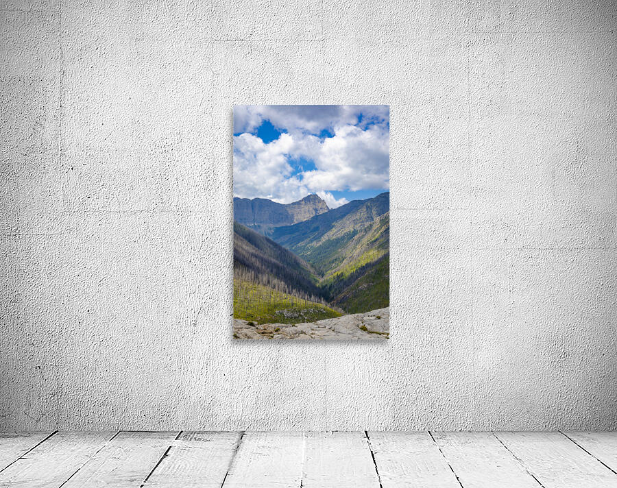 The Mountains of Waterton Wall Preview