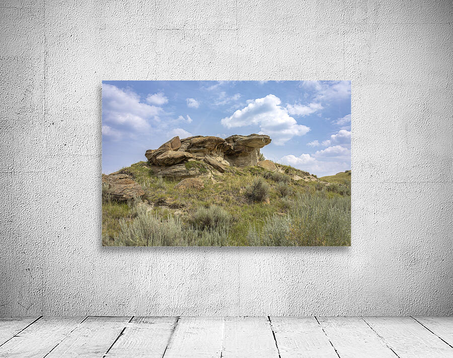 Whispers of the Badlands Wall Preview