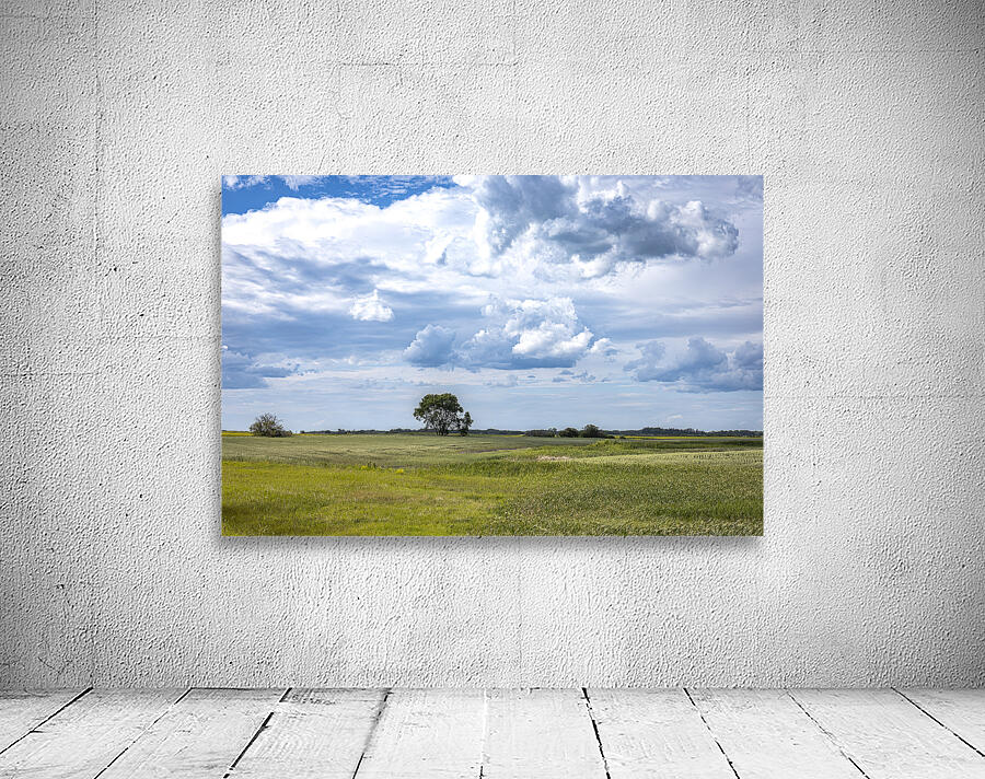 Lone Tree and Cloudy Sky Wall Preview