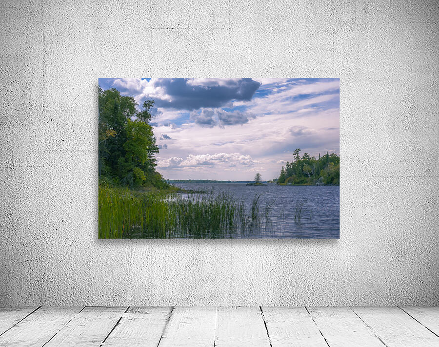 Serene Solitude Wall Preview