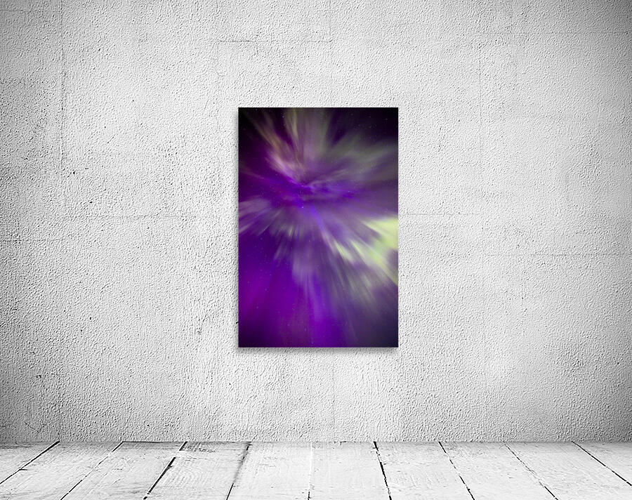 Night Bloom Wall Preview