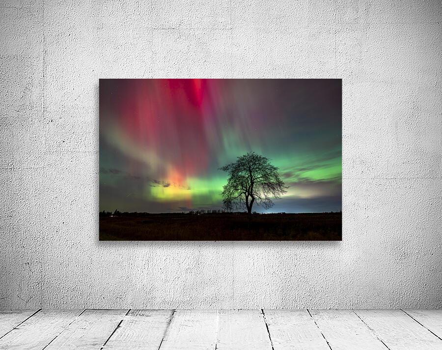 Aurora Dance Wall Preview