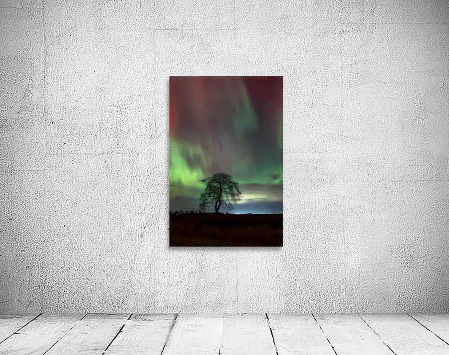 Northern Lights Dance Wall Preview