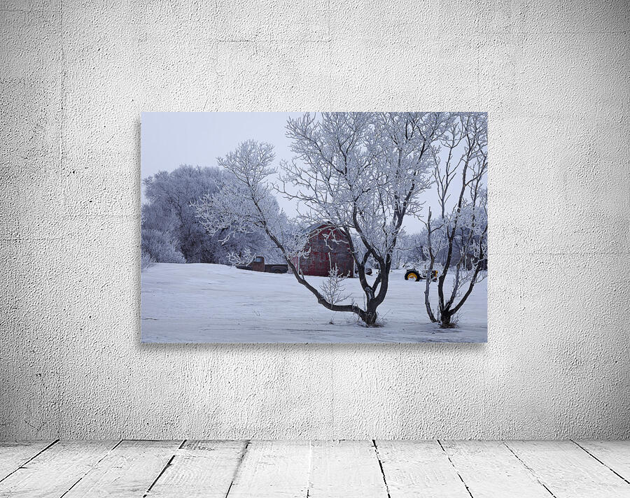 Hoarfrost Morning Over a Red Barn Wall Preview