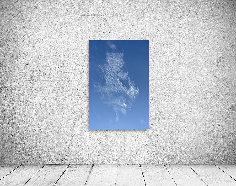 Sky Wing Wall Preview