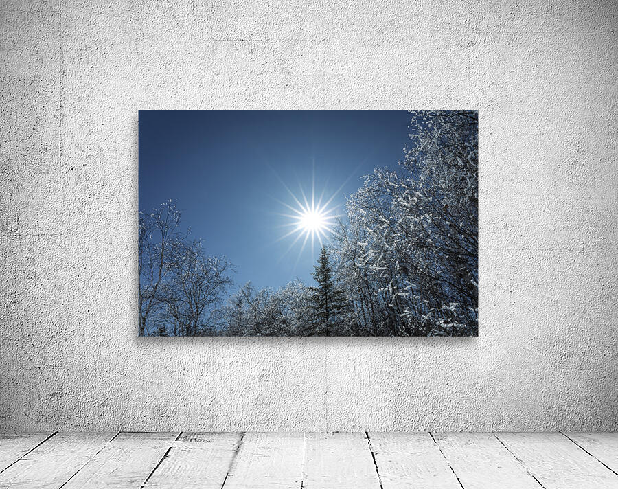 Winter Sunburst Wall Preview