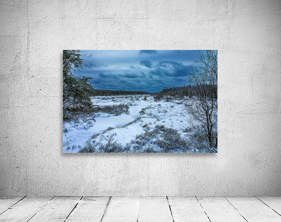 Winter Quietude Wall Preview