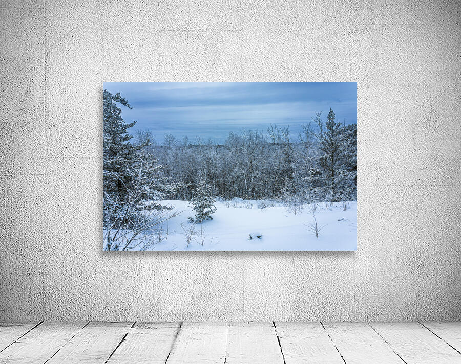 Whiteshell Winter Calm Wall Preview