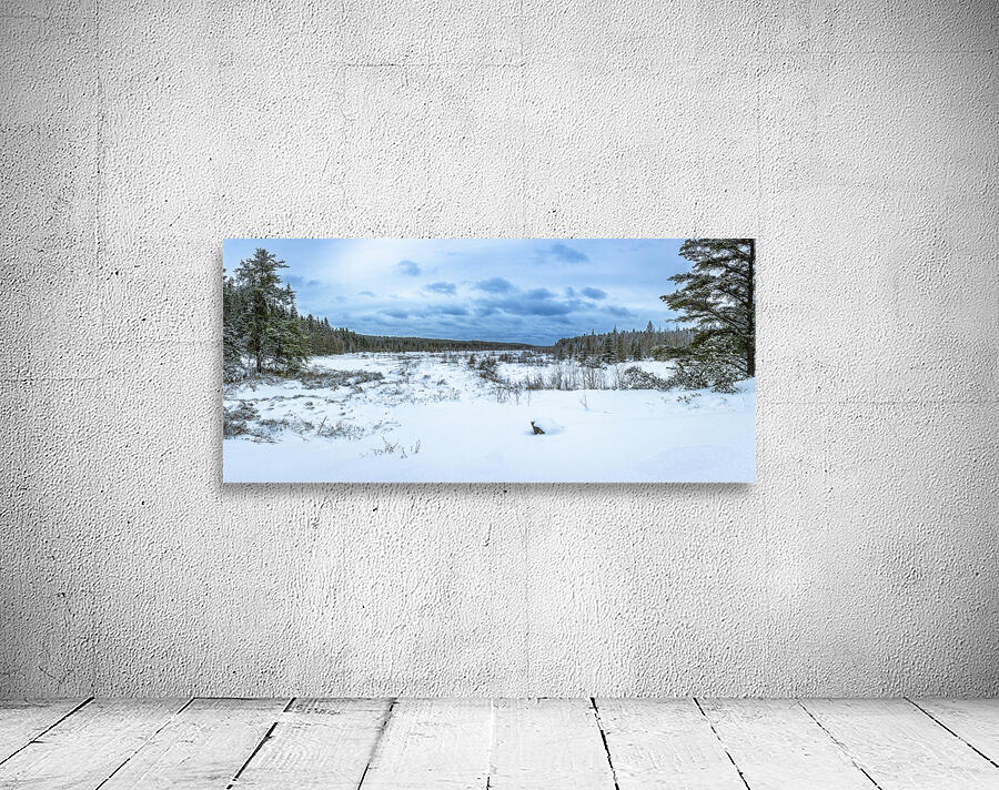 Winter Expanse Wall Preview