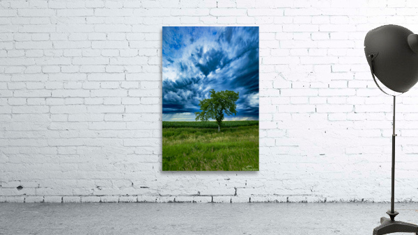 Lone Tree After the Storm Wall Preview