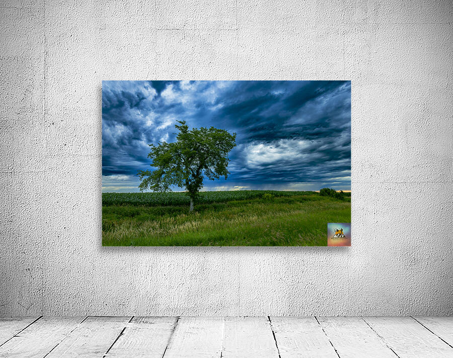 Lone Tree After the Storm Wall Preview