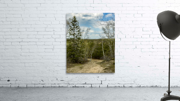 Ancient Beach Trail Wall Preview