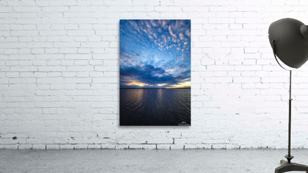 Flooded Field Wall Preview