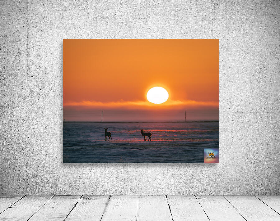 Deer in Sunrise Wall Preview