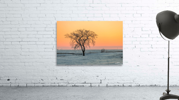 Lone Tree in Pastel Wall Preview