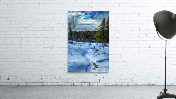 Winter Trail Wall Preview