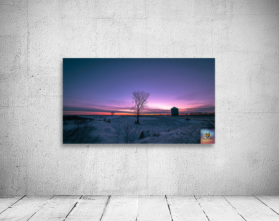 Lone Trees and Grain Bin Wall Preview