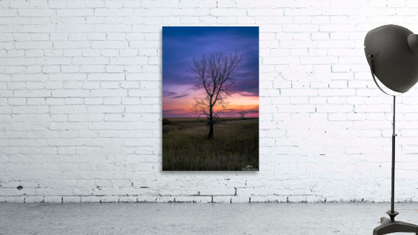 Lone Tree at Sunrise Wall Preview