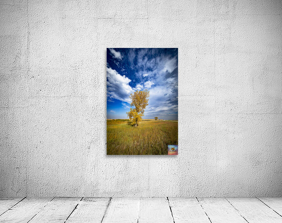 Lone Trees in the Fall Wall Preview