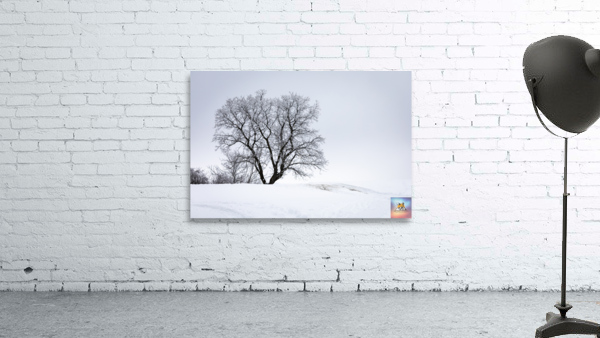 Lone Tree in Hoarfrost Wall Preview