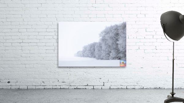 Tree Row in Hoarfrost Wall Preview