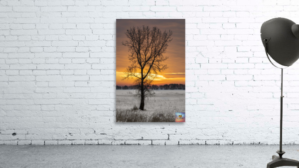 Lone Tree at Sunrise Wall Preview