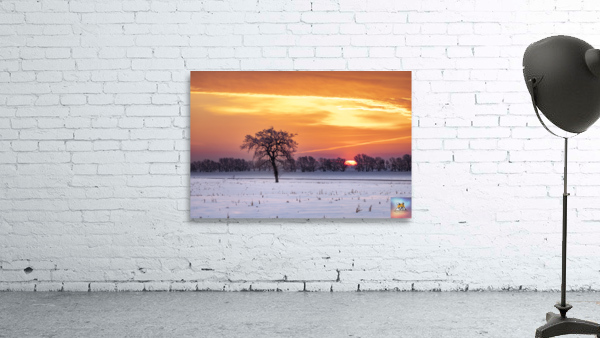 Lone Tree at Sunrise Wall Preview