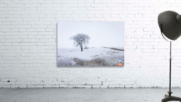 Lone Tree in Winter Fog Wall Preview