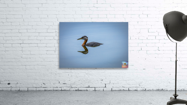 Duck Reflection Wall Preview