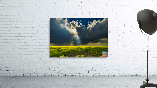 Heavens Ray Wall Preview