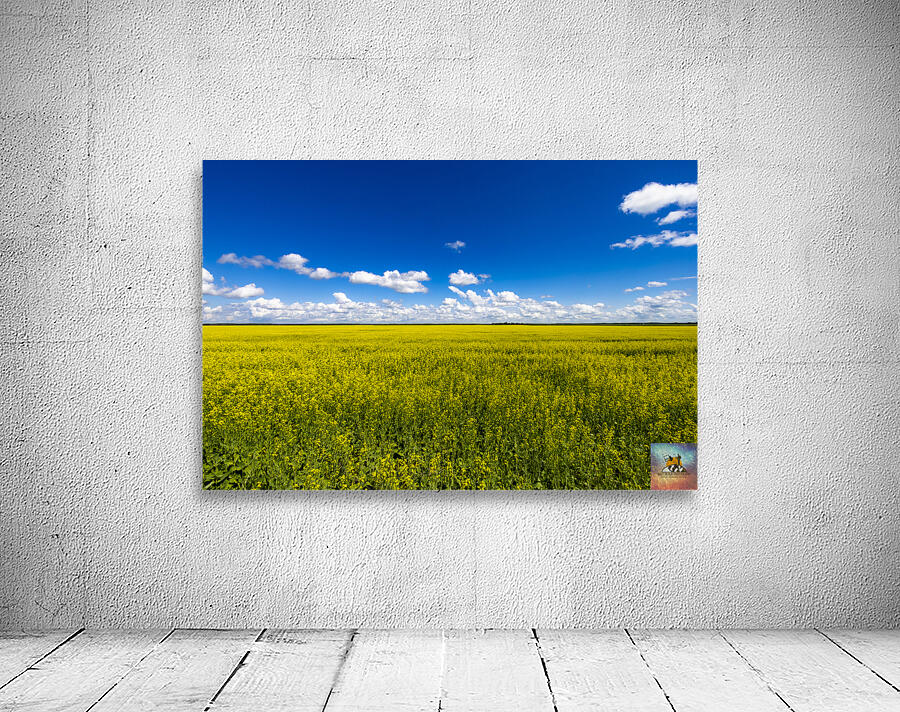 Blue and Yellow Wall Preview