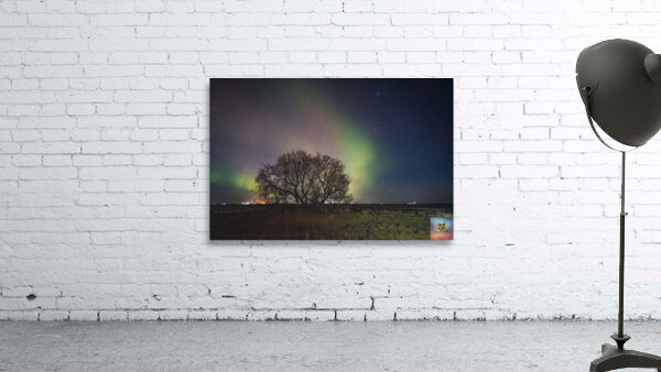 Angels Landing Wall Preview