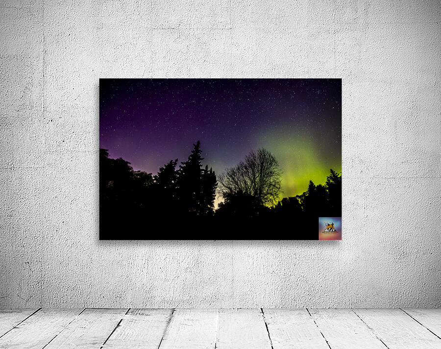 Aurora In the Woods Wall Preview