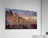 20241009 072349 Acrylic Print