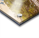 Bushland oasis Acrylic print