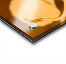 Wild orange Acrylic print