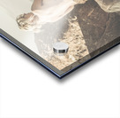 Granville Harbour Tasmania fine art beauty portrait Acrylic print