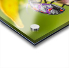 Beetle botanics Acrylic print