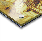 Fit for a king Acrylic print