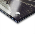 Tasmania wilderness way Acrylic print