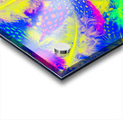 Rainbow radiance Acrylic print